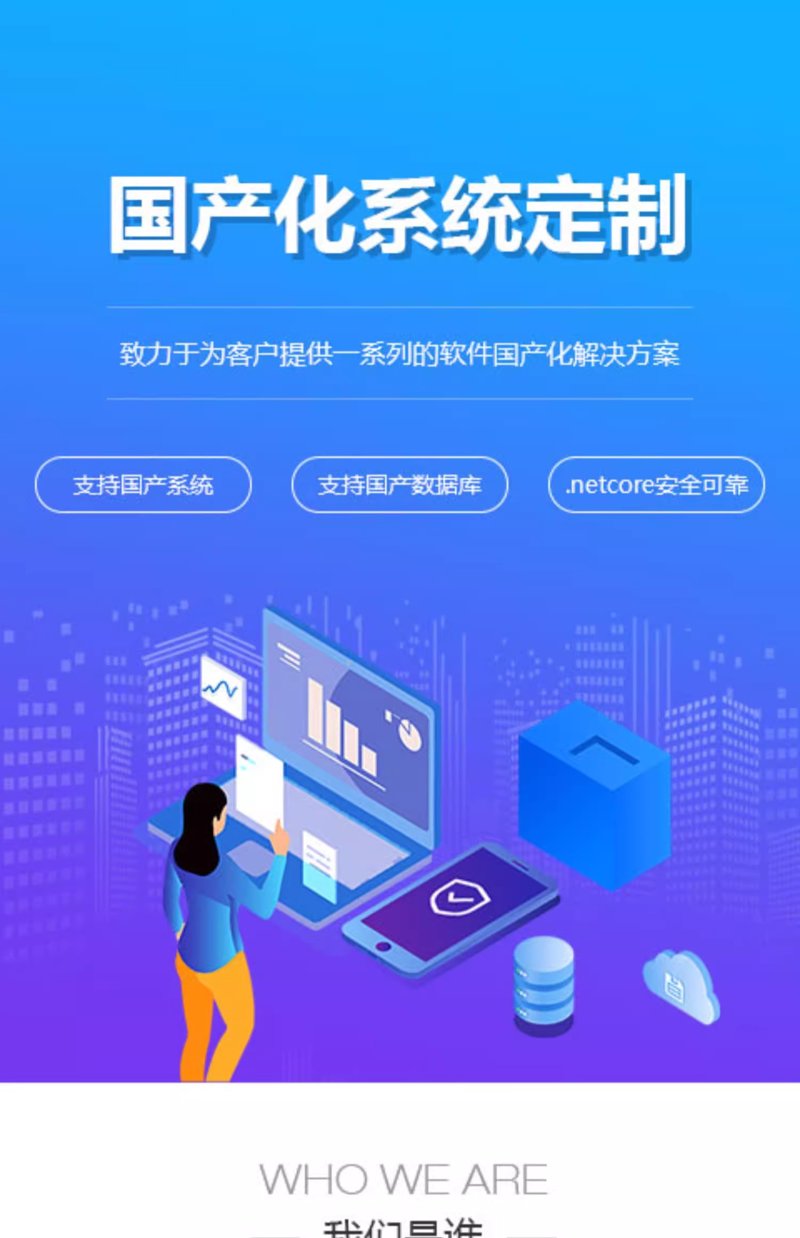 定制企业软件:未来发展的风向标